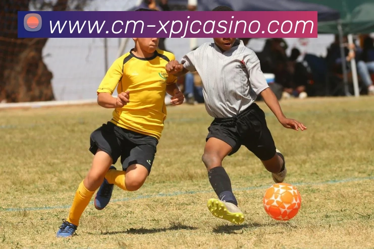 多媒体互动体验