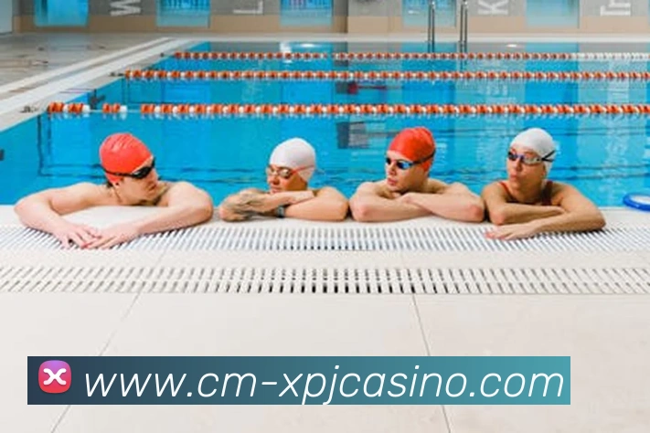 澳门新葡京娱乐APP 高清赛事图